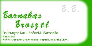 barnabas brosztl business card